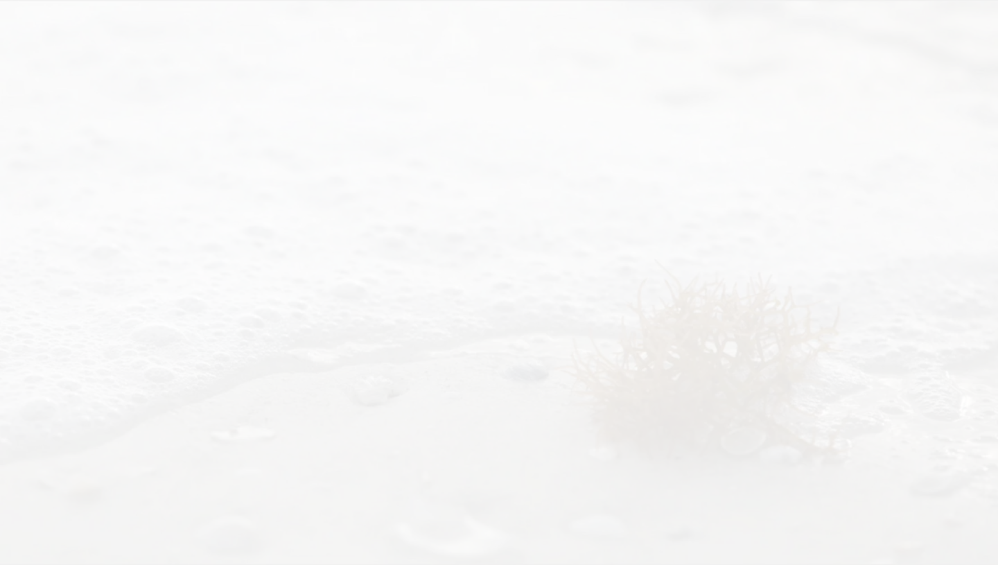 A small bush in the middle of a snow storm. The bush is covered in snow and the wind is blowing the snow around it.