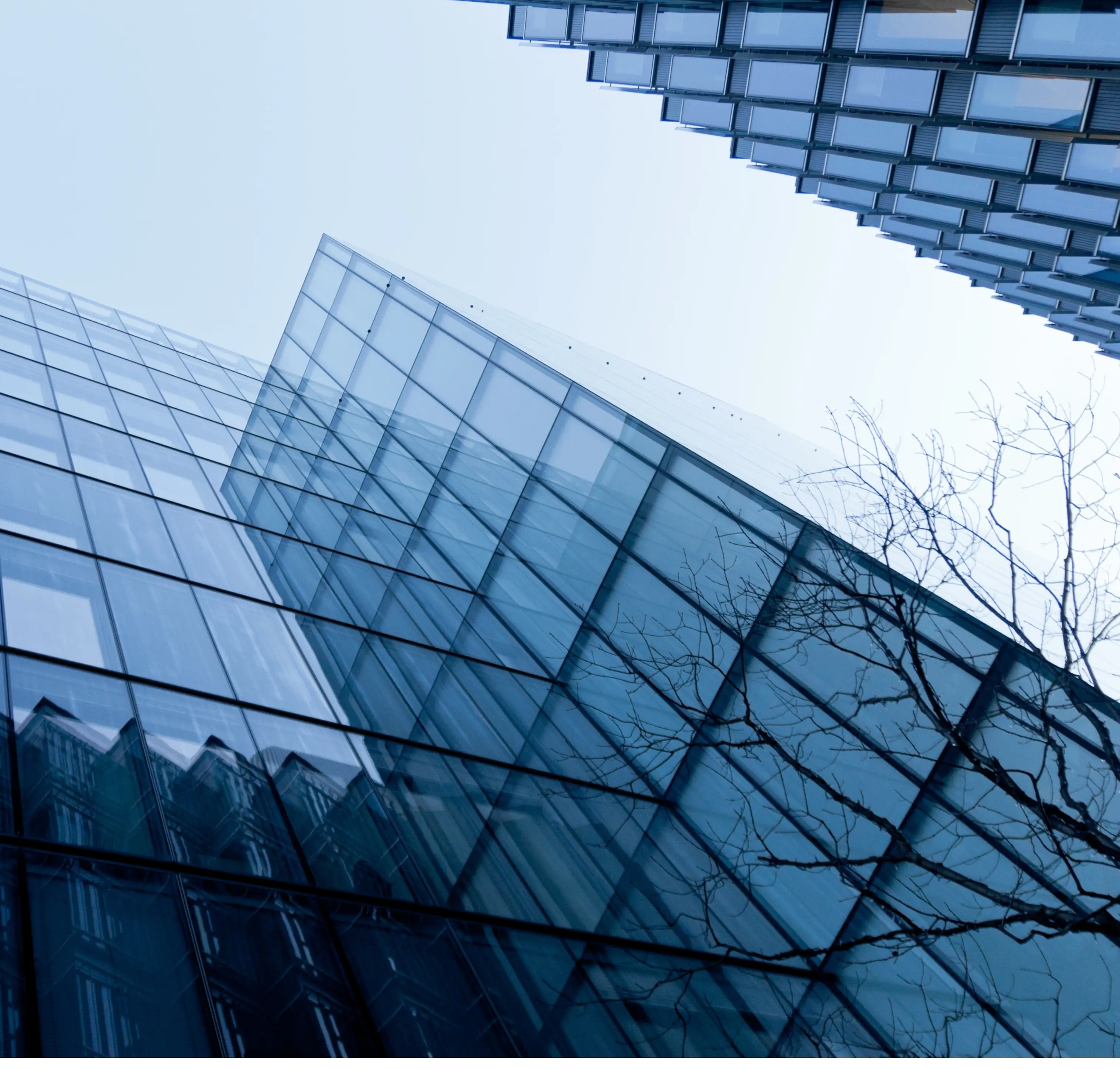 A tall building with a tree in the foreground. The building is made of glass and metal, and has a lot of windows. The tree is a small, young tree with no leaves.